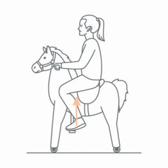 Animal Riding - Lenkbares Reittier - Pferd Amadeus - GIF